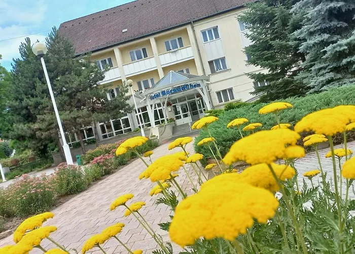 Hotel Borsodchem Kazincbarcika photo