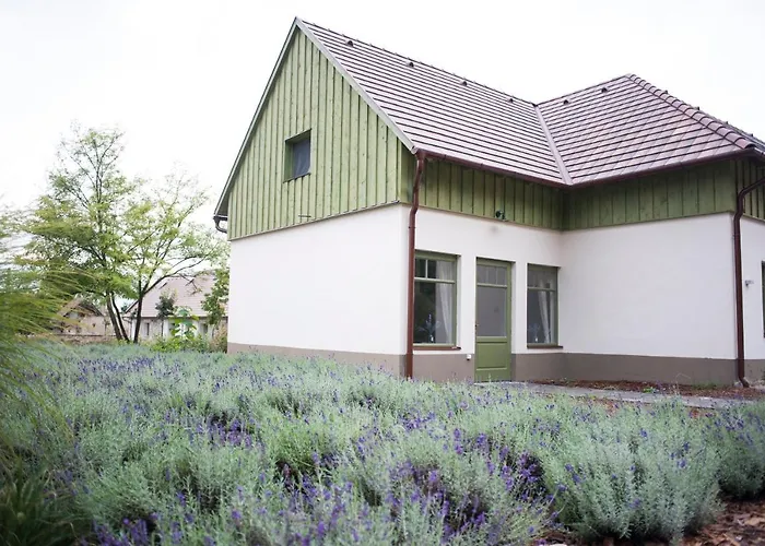 Фото Pajta Apartman Es Vendeghaz Szomod