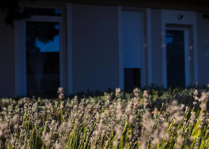 صورة شقة Dioliget Ohid