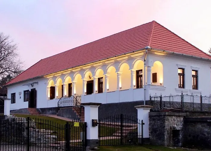 Antik Vendeghaz Hotel Nagyvisnyó foto