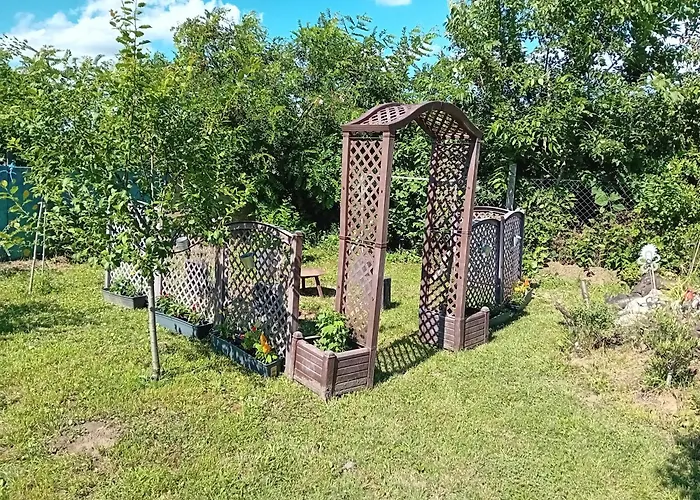 Bei Hanna Enying photo