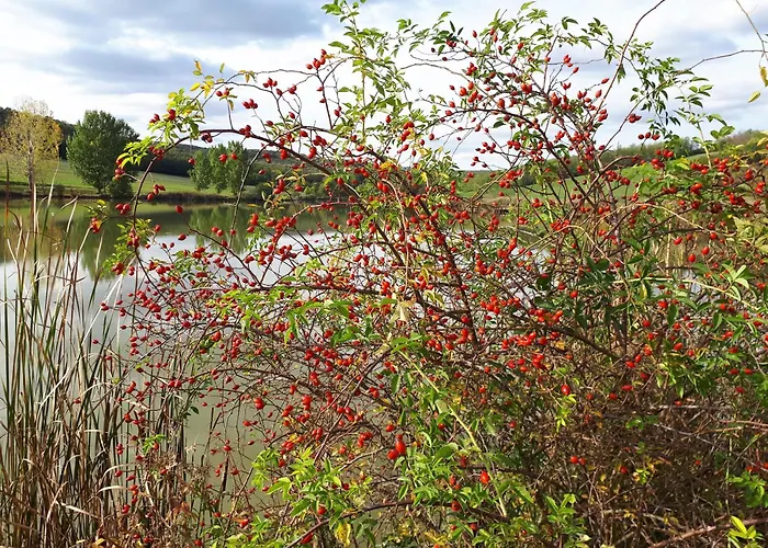 JOLANDA Vendégház Szálka képek