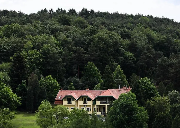 Apat Panzio Es Hajdina Etterem Bed & Breakfast Apatistvanfalva photo