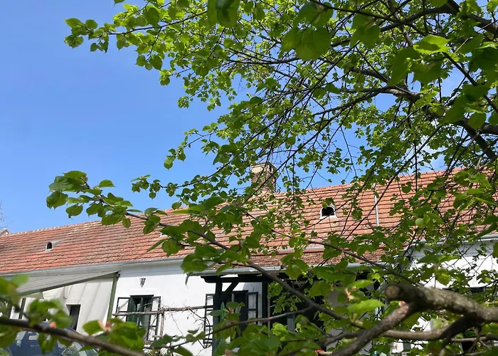 Authentic Farmhouse Zalagyomoro foto