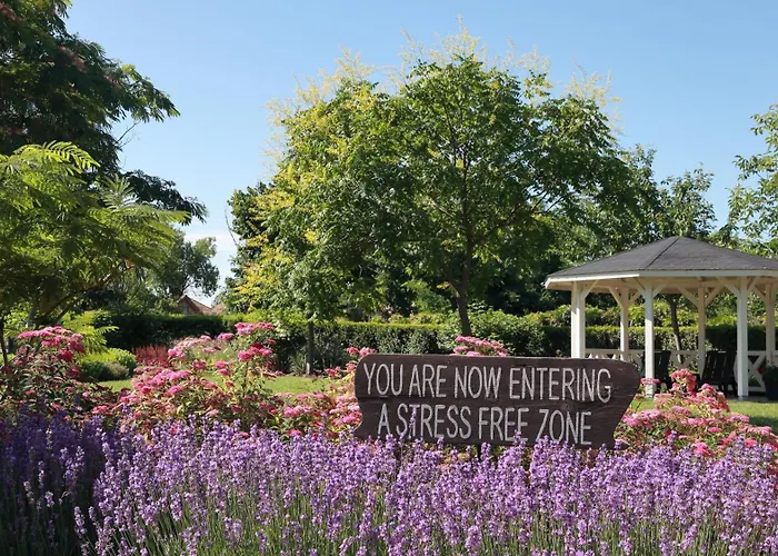 Tisza Lodge B&B - Panzio Tiszaderzs photo