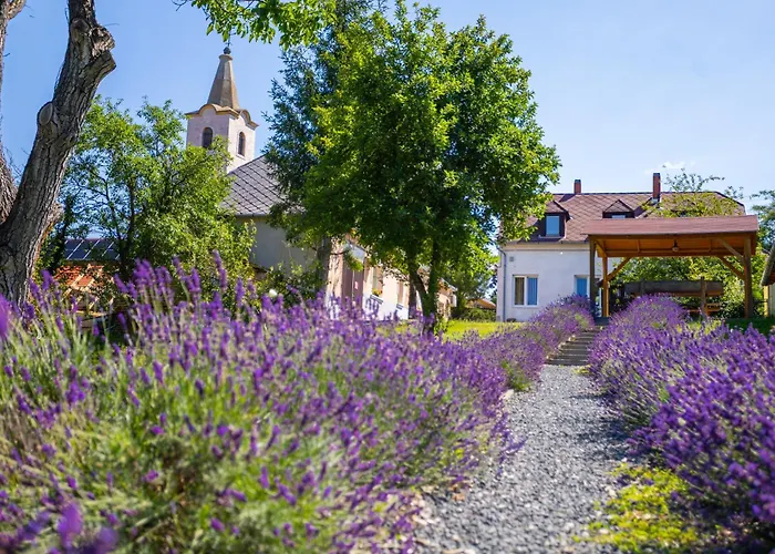 Nora Guest House - Happy Rentals Nagygorbo foto