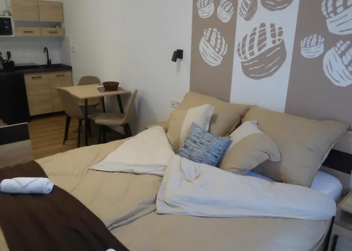 Pogacsas II Apartman Tokaj foto