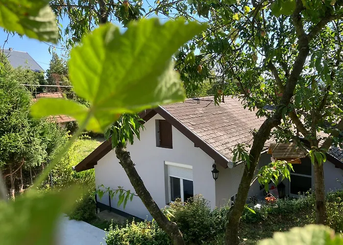 Фото Вилла Borostyan Vendeghaz - Залаэгерсег