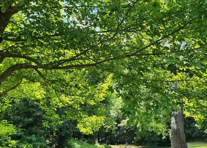 Apartmán Empyrean Birtokhaz Hédervár fotorgafie