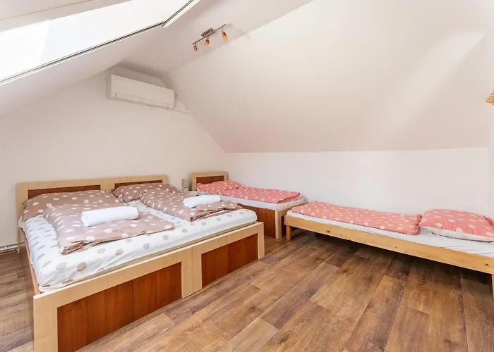 Menes Vendeghaz Hotel Bukkosd photo