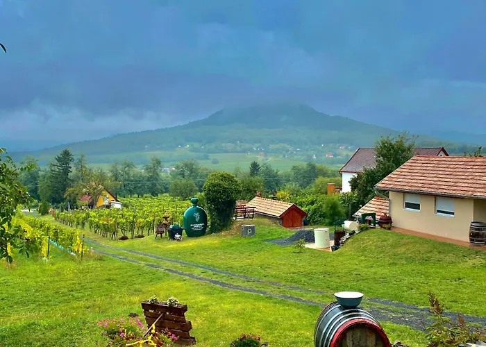 Badacsony Hegypanoráma Apartman foto