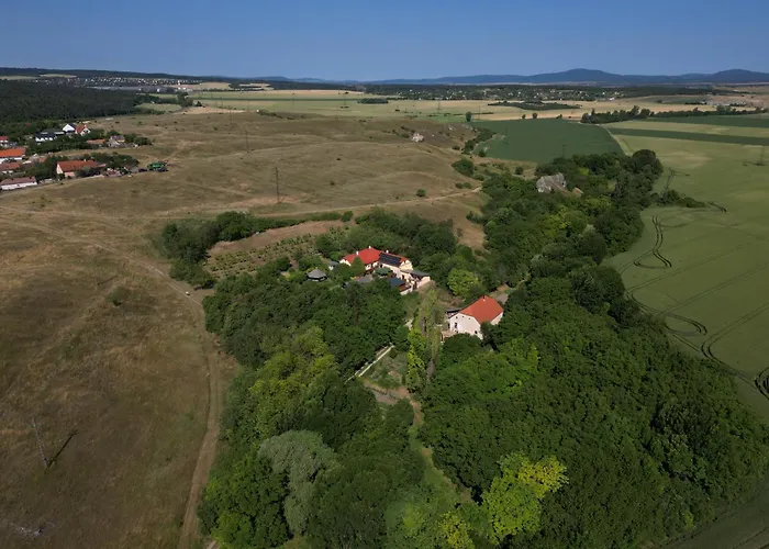 foto di Vincellér Vendégház Kiralyszentistvan