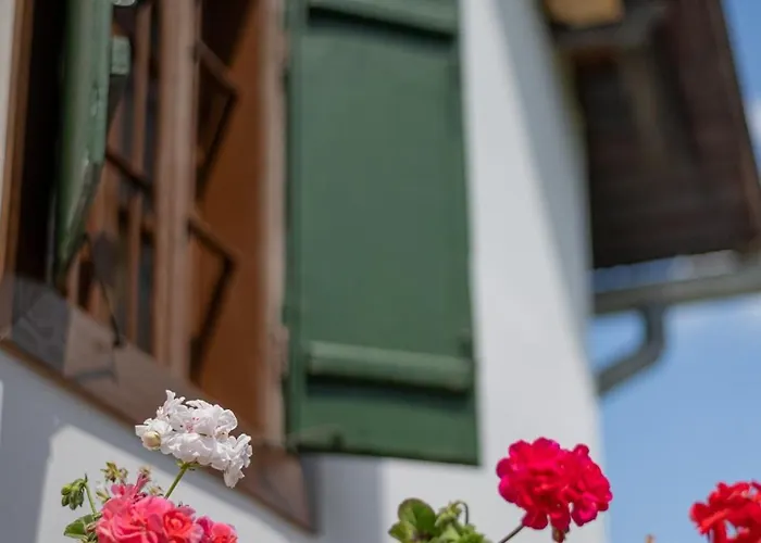 Apartmán Nozsi-Hegyi Vendeghaz Patca fotorgafie