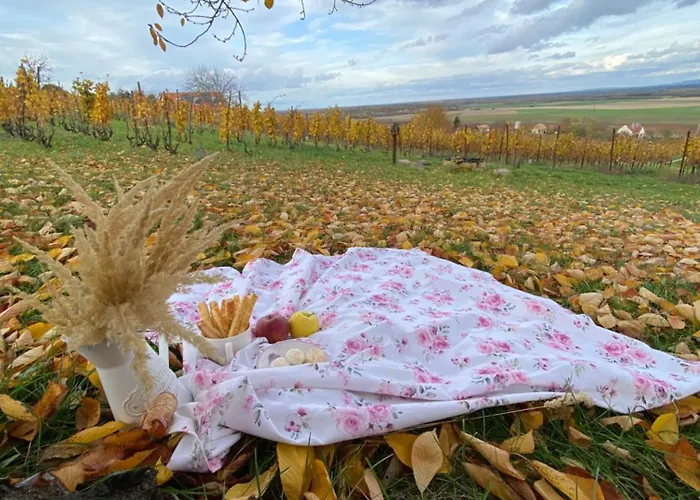 Somloi Provence Villa Doba képek