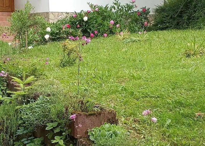Budafai Vendeghaz Kiscsehi foto