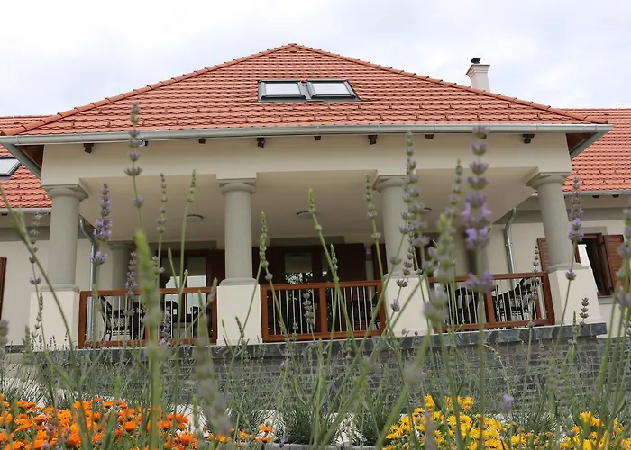 Villa Tolnay Vendeghaz Gyulakeszi φωτογραφία