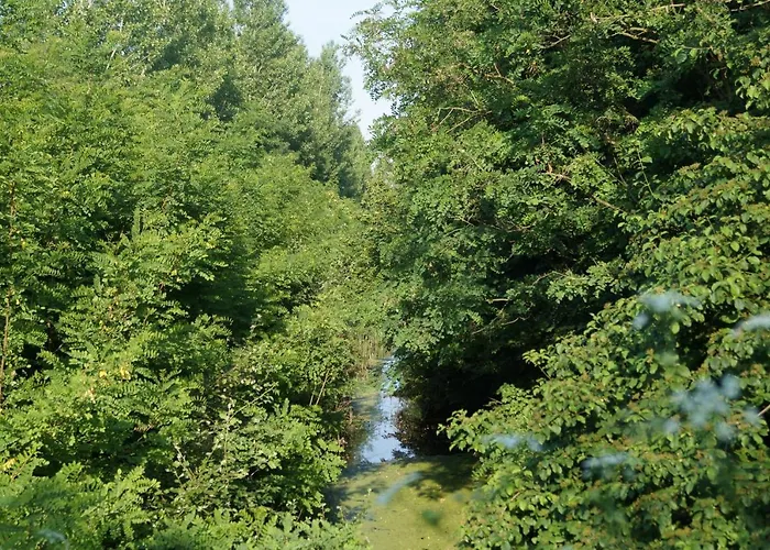 Mezes Tanya Belmegyer Villa fotoğrafı