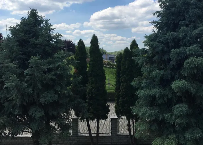 Tassi Halaszcsarda-Harcsa Haz photo