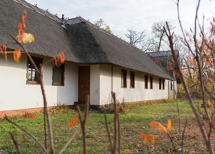 Dorogma Vendeghaz Hotel Tiszadorogma foto