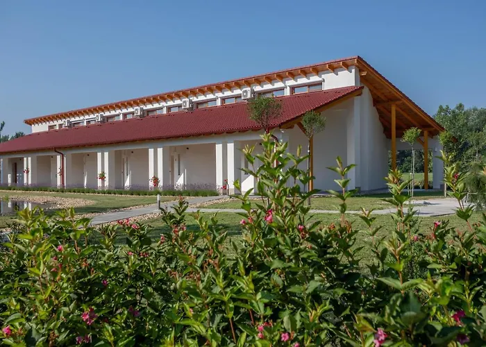 Csipkerozsa Ueduelohazak foto